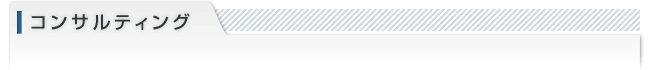 コンサルティング