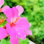 ピアノから離れたピアノの先生が戻ってきた理由。子どもたちは教える人の「生き方」から学んでいる
