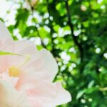 ピアノの生徒が100人いても向き合うのはいつもたった一人。本当の「指導力」が身につく考え方