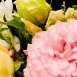 【ピアノが教えてくれること】他人の人生を歩むことなく自分で道を切り拓くことの心地良さ